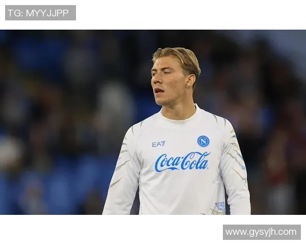 霍伊伦：探索其在当代文化与科技交汇中的独特影响力与价值