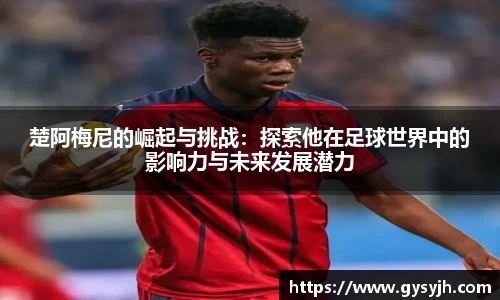 emc易倍手机下载